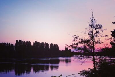 Agrandir l'image 2 sur 21, fenêtre modale