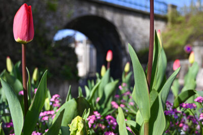 Agrandir l'image 2 sur 30, fenêtre modale