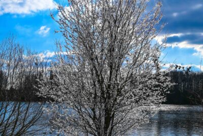 Agrandir l'image 6 sur 21, fenêtre modale