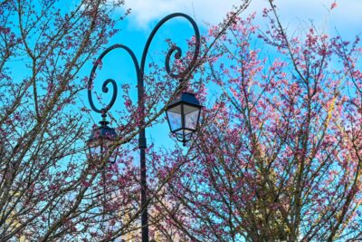 Agrandir l'image 8 sur 21, fenêtre modale