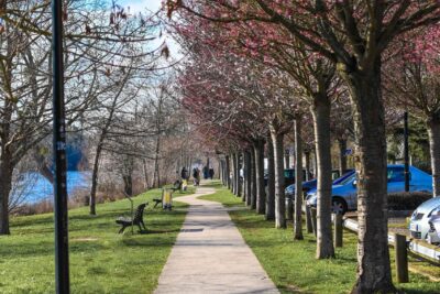 Agrandir l'image 9 sur 21, fenêtre modale