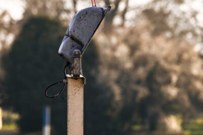 Agrandir l'image 14 sur 30, fenêtre modale