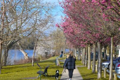 Agrandir l'image 11 sur 21, fenêtre modale