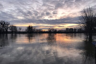 Agrandir l'image 16 sur 21, fenêtre modale