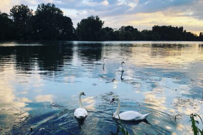 Agrandir l'image 18 sur 21, fenêtre modale