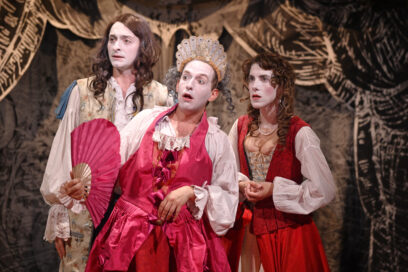 Agrandir l'image, fenêtre modale