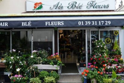 Agrandir l'image, fenêtre modale