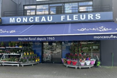 Agrandir l'image, fenêtre modale