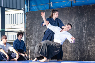 Agrandir l'image 8 sur 36, fenêtre modale