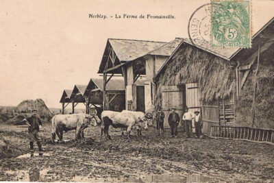 Agrandir l'image 3 sur 15, fenêtre modale