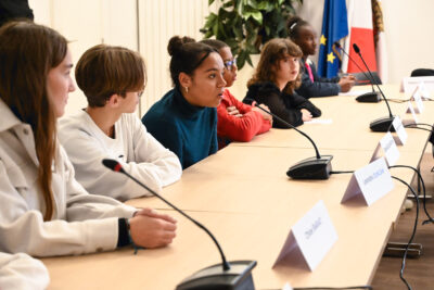 Agrandir l'image 1 sur 35, fenêtre modale