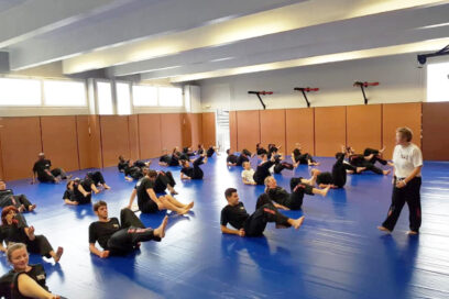 Agrandir l'image, fenêtre modale