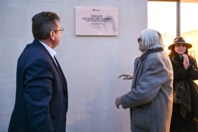 Agrandir l'image 8 sur 30, fenêtre modale