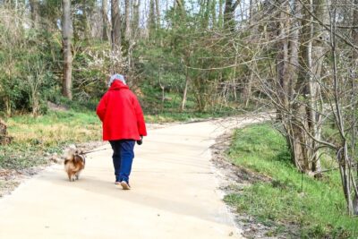Agrandir l'image 1 sur 1, fenêtre modale
