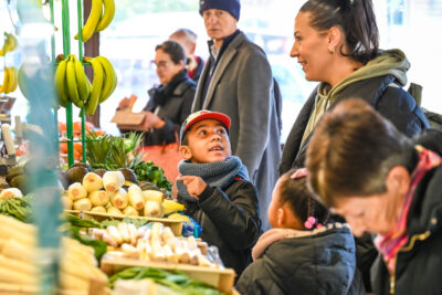 Agrandir l'image 8 sur 46, fenêtre modale