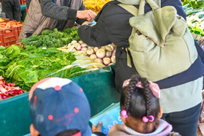 Agrandir l'image 12 sur 46, fenêtre modale