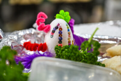 Agrandir l'image 13 sur 46, fenêtre modale