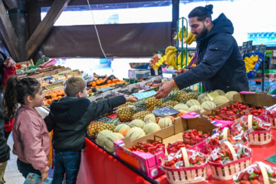 Agrandir l'image 14 sur 46, fenêtre modale