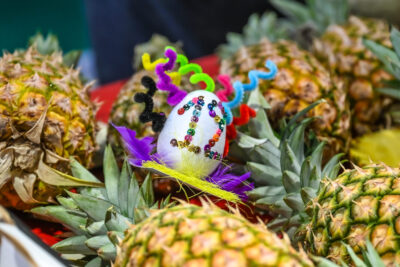 Agrandir l'image 16 sur 46, fenêtre modale