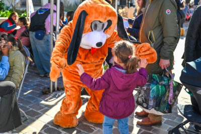 Agrandir l'image 19 sur 46, fenêtre modale