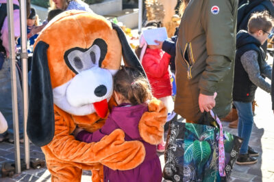 Agrandir l'image 20 sur 46, fenêtre modale