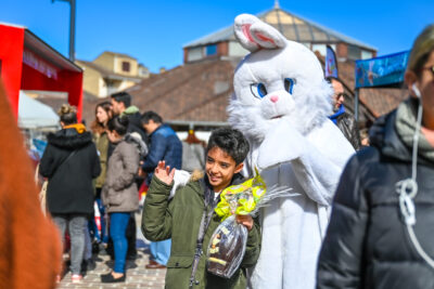 Agrandir l'image 44 sur 46, fenêtre modale