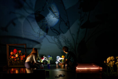 Agrandir l'image, fenêtre modale