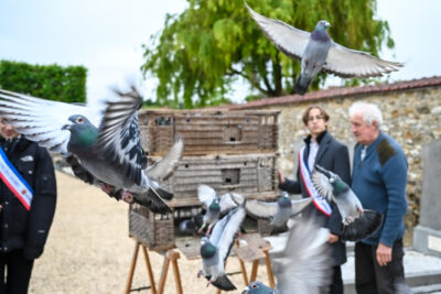 Agrandir l'image 27 sur 35, fenêtre modale