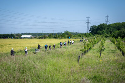 Agrandir l'image 88 sur 140, fenêtre modale