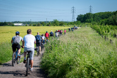 Agrandir l'image 89 sur 140, fenêtre modale