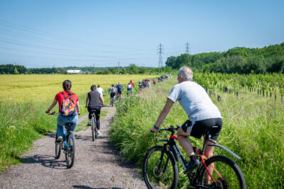 Agrandir l'image 90 sur 140, fenêtre modale