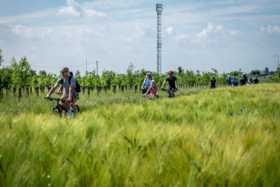 Agrandir l'image 91 sur 140, fenêtre modale