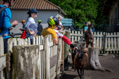 Agrandir l'image 98 sur 140, fenêtre modale