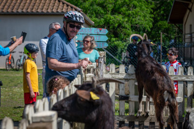 Agrandir l'image 99 sur 140, fenêtre modale