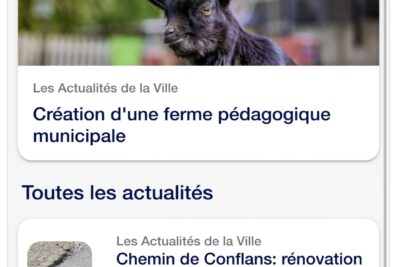 Agrandir l'image 3 sur 3, fenêtre modale