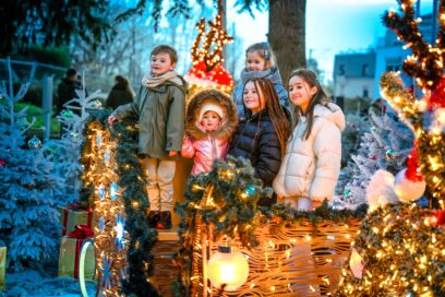 Agrandir l'image, fenêtre modale