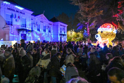 Agrandir l'image 1 sur 12, fenêtre modale