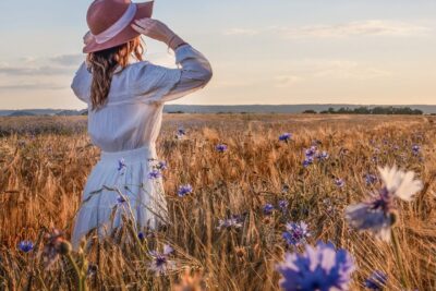 Agrandir l'image 12 sur 12, fenêtre modale