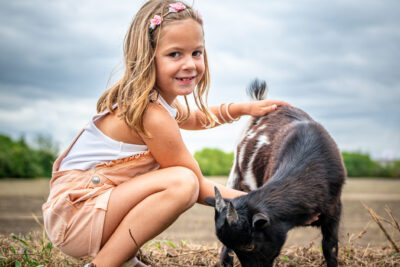 Agrandir l'image 6 sur 12, fenêtre modale