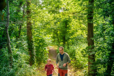 Agrandir l'image 5 sur 12, fenêtre modale