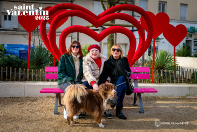 Agrandir l'image 63 sur 85, fenêtre modale