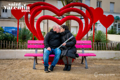 Agrandir l'image 81 sur 85, fenêtre modale