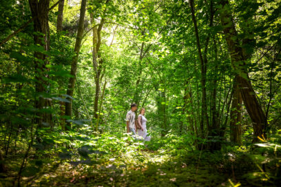 Agrandir l'image, fenêtre modale