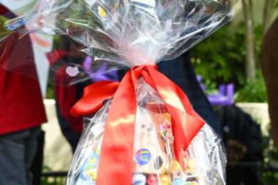 Agrandir l'image 30 sur 33, fenêtre modale