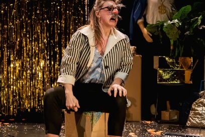 Agrandir l'image, fenêtre modale