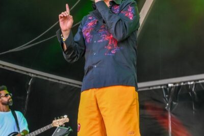 Agrandir l'image 140 sur 170, fenêtre modale