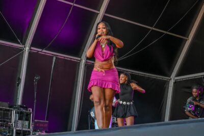 Agrandir l'image 132 sur 170, fenêtre modale