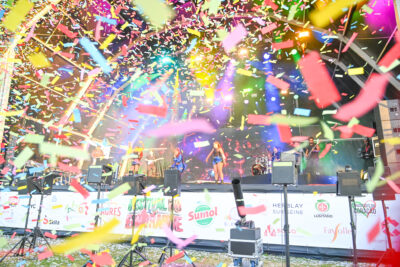 Agrandir l'image 4 sur 170, fenêtre modale