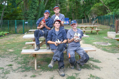 Agrandir l'image 6 sur 6, fenêtre modale