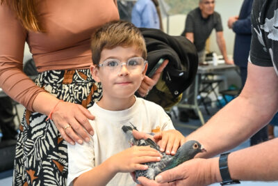 Agrandir l'image 2 sur 25, fenêtre modale